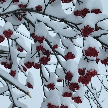 בית נופש Le Calmadou *